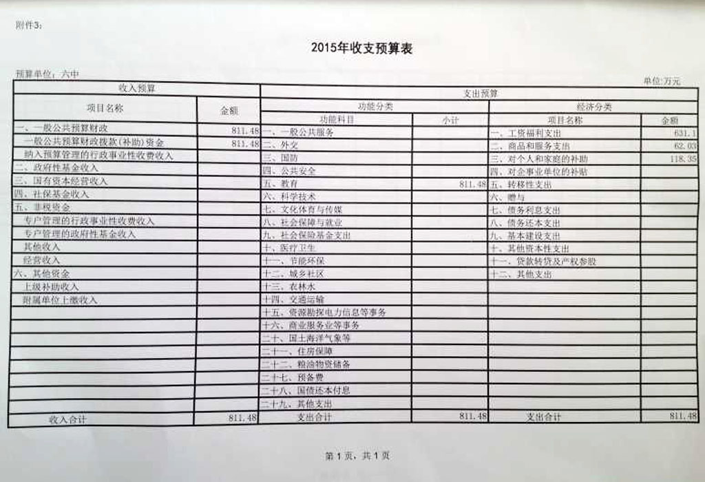 2015年收支预算表