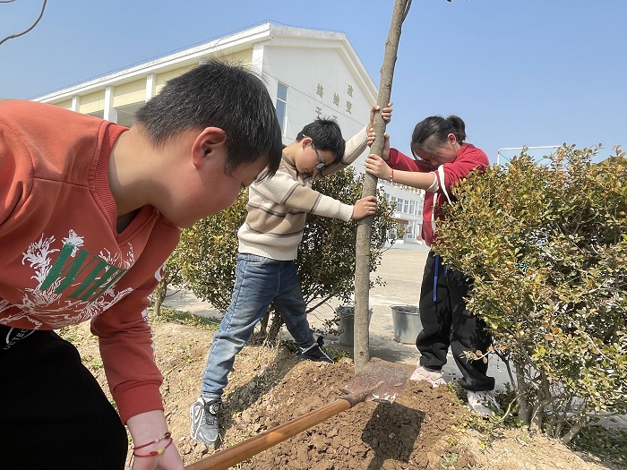 马陵山镇黄甲小学师生共植春意，感受大自然之美