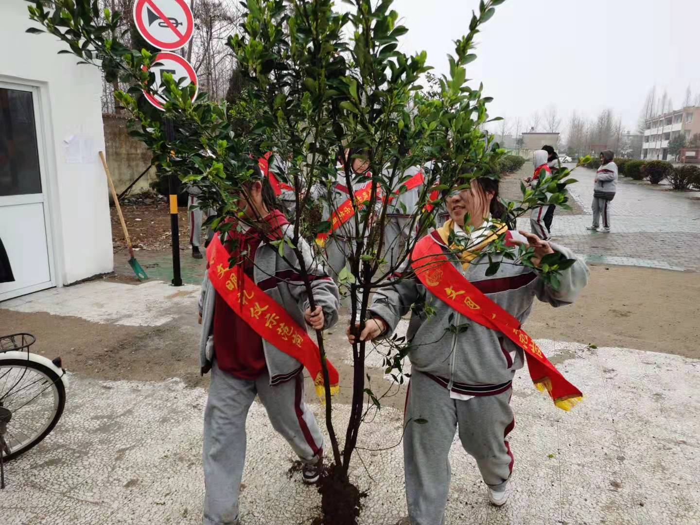 植树节| 绿化环境 美化人生