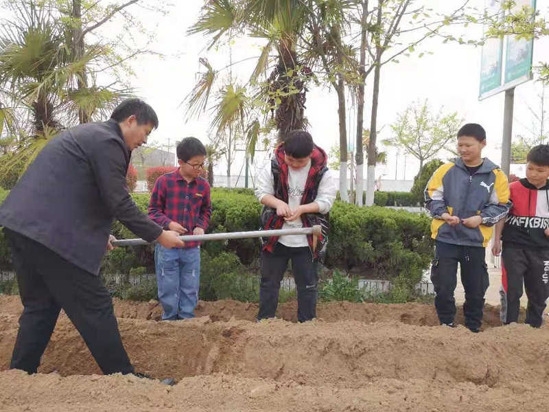 感受劳作  收获快乐 ——记马陵山镇陈楼小学春笋种植园劳动实践活动